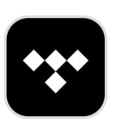 Tidal logo